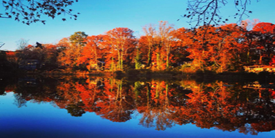 Pine Lake, Georgia