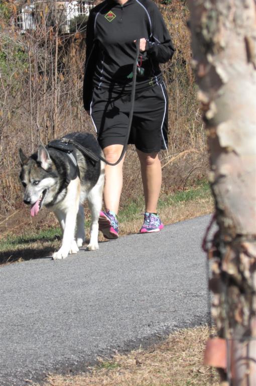 Pine Lake walking trail